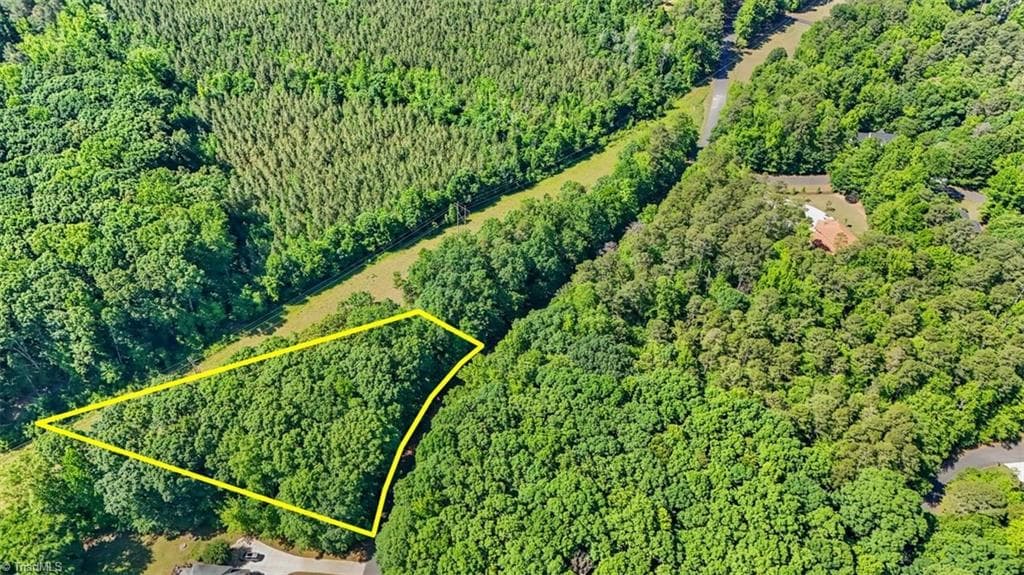 Unimproved Land at 0 Pine Forest Drive S, Siler City NC 27344, photo 5 of 14