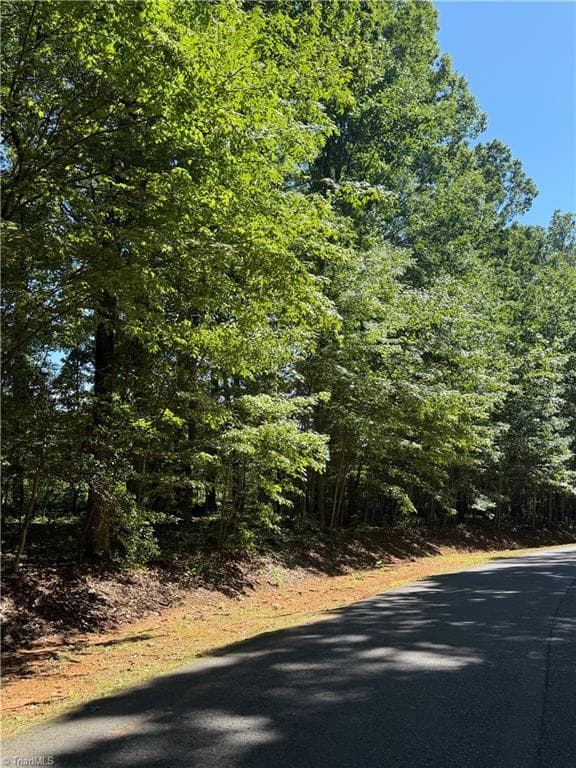 Unimproved Land at 0 Pine Forest Drive S, Siler City NC 27344, photo 4 of 14