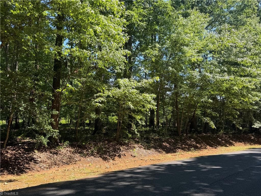 Unimproved Land at 0 Pine Forest Drive S, Siler City NC 27344, photo 8 of 14