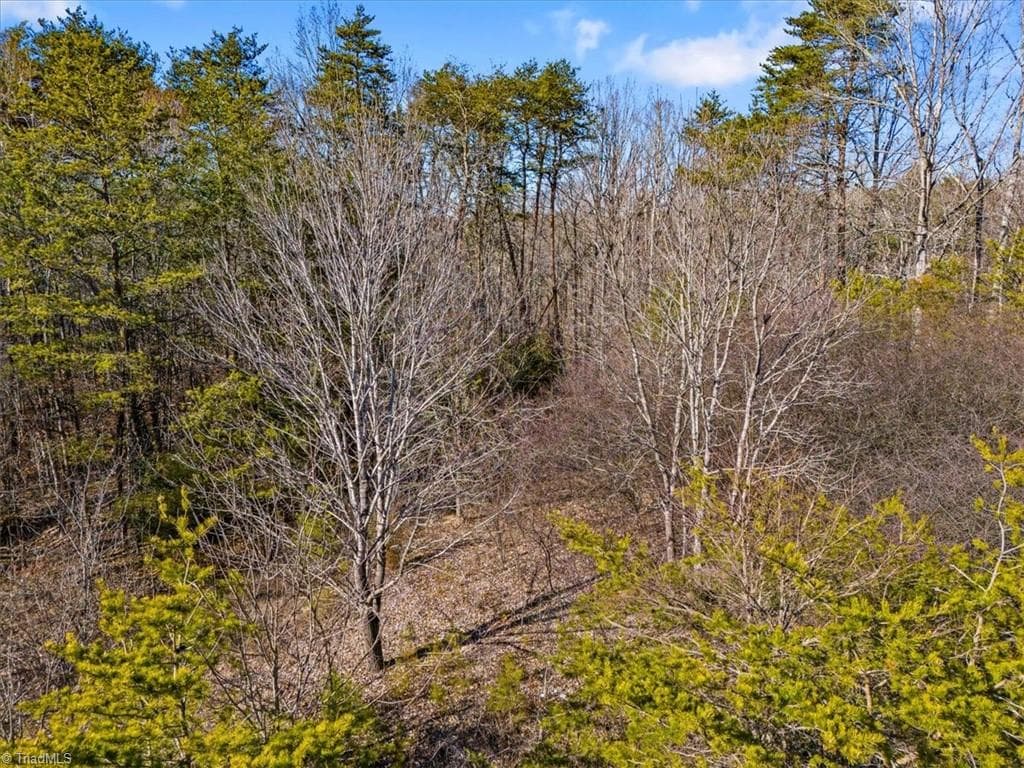 Single Family Residence at 7350 Hidden View Drive, Oak Ridge NC 27310, photo 13 of 14