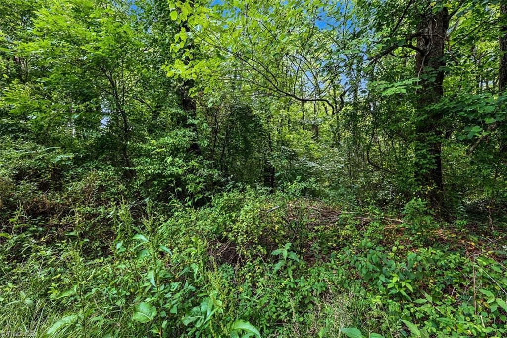 Unimproved Land at 0 Loretta Lane, Tobaccoville NC 27050, photo 19 of 19