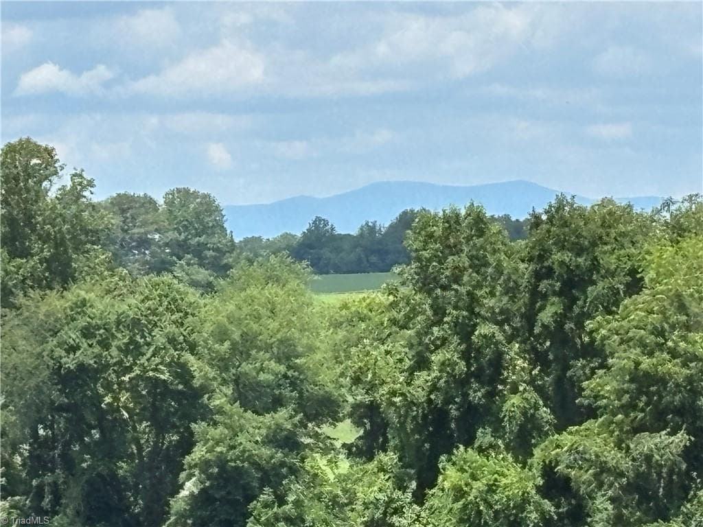 Agriculture at 460 Greene Road, Dobson NC 27017, photo 13 of 49