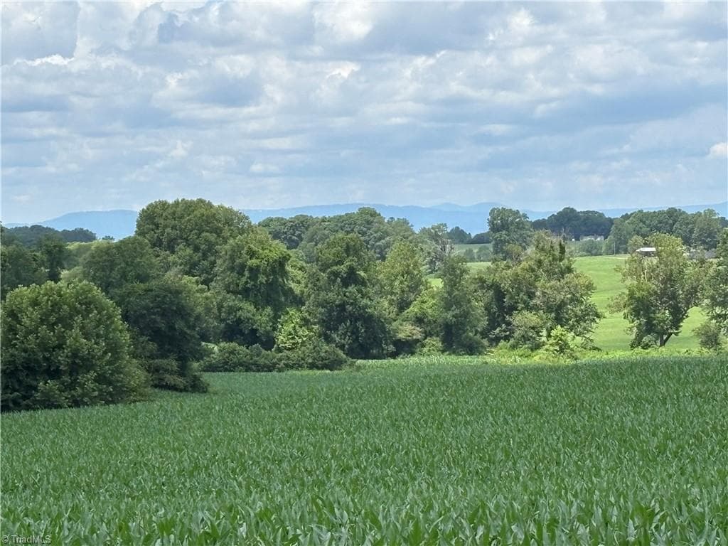 Agriculture at 460 Greene Road, Dobson NC 27017, photo 14 of 49