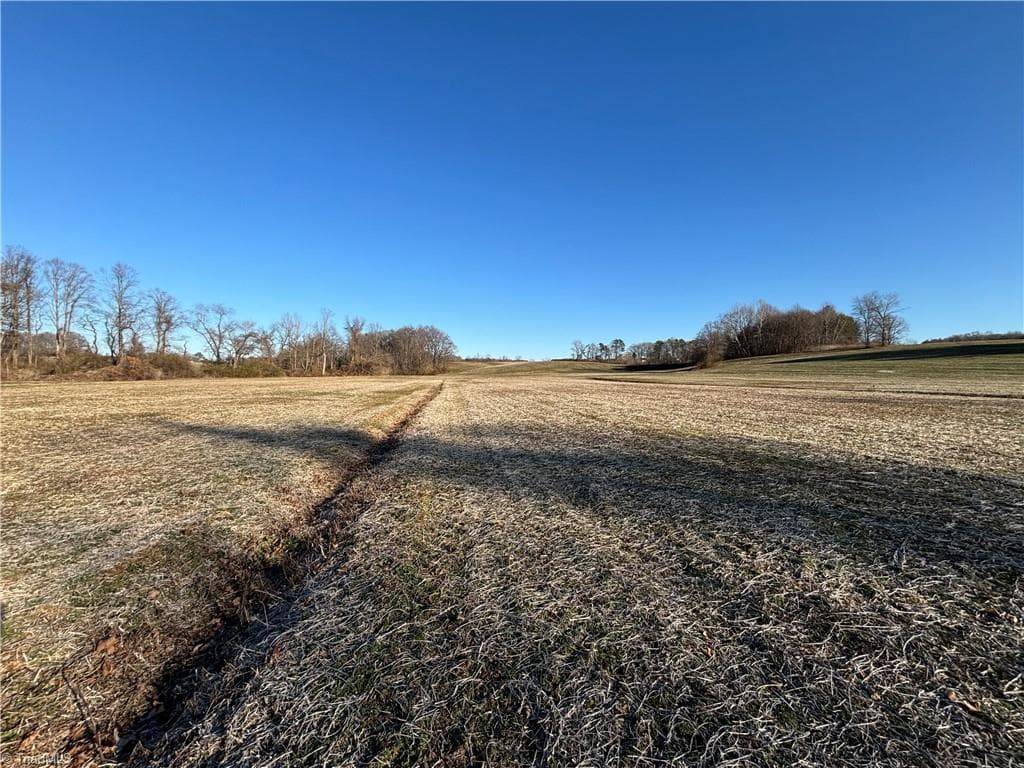 Agriculture at 460 Greene Road, Dobson NC 27017, photo 45 of 49