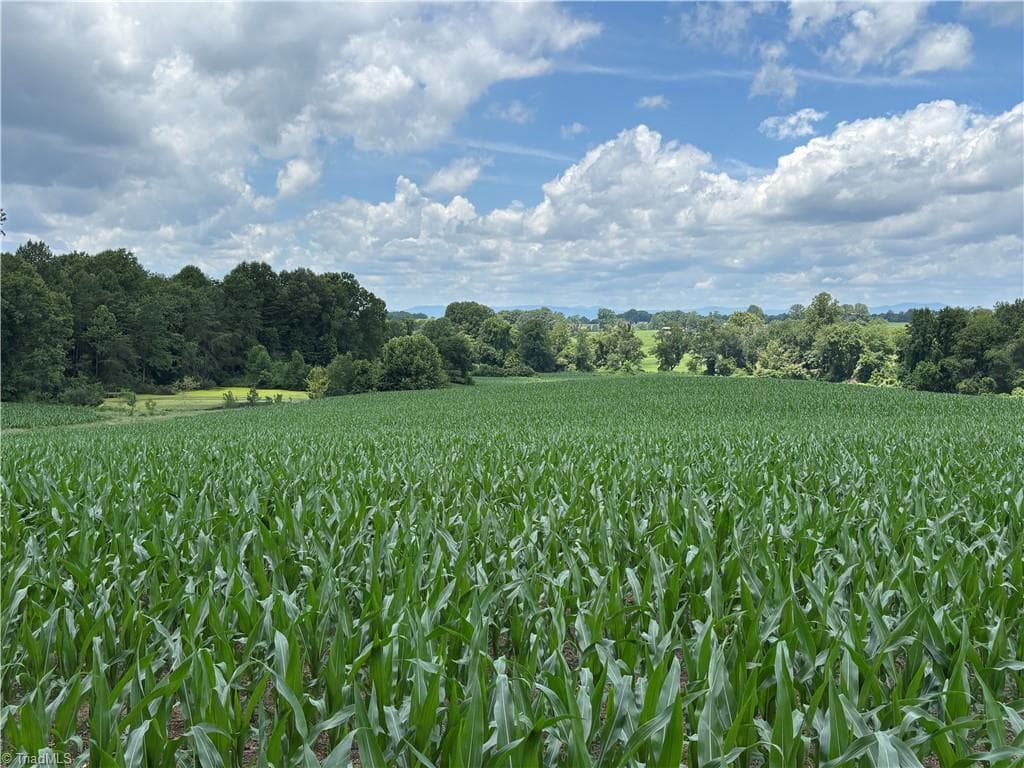Agriculture at 460 Greene Road, Dobson NC 27017, photo 15 of 49