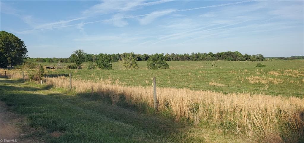 Agriculture at 795 Elk Shoals Church Loop, Stony Point NC 28678, Stony Point, photo 33 of 98