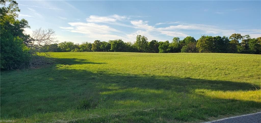 Agriculture at 795 Elk Shoals Church Loop, Stony Point NC 28678, Stony Point, photo 51 of 98