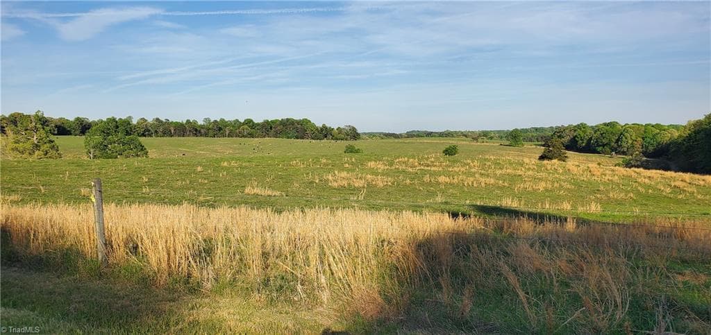 Agriculture at 795 Elk Shoals Church Loop, Stony Point NC 28678, Stony Point, photo 29 of 98