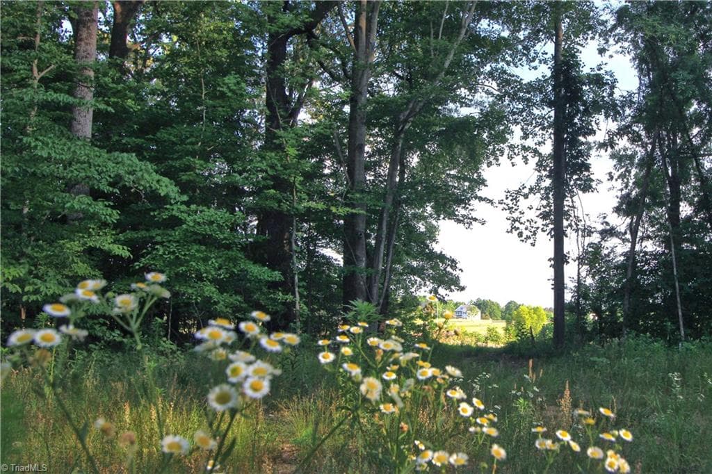 Agriculture at 6810 Sawyer Road, Liberty NC 27298, photo 14 of 24