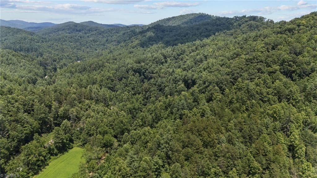 Unimproved Land at 1296 Sheets Gap Road, Millers Creek NC 28651, photo 6 of 8