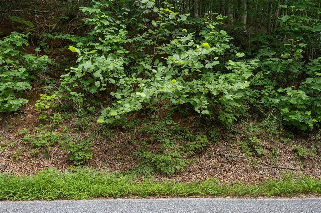 Unimproved Land at 1296 Sheets Gap Road, Millers Creek NC 28651, photo 7 of 8