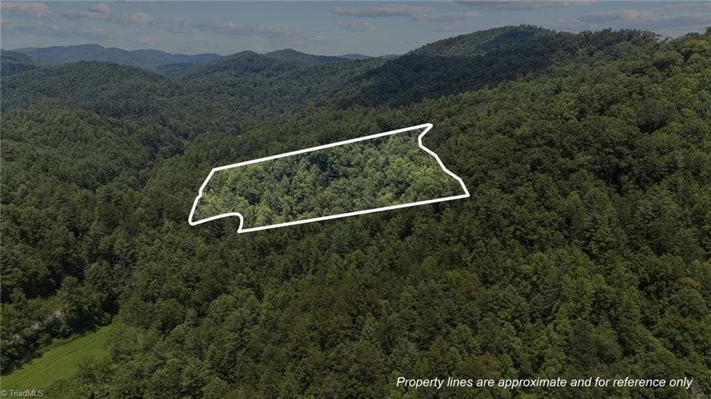 Unimproved Land at 1296 Sheets Gap Road, Millers Creek NC 28651, photo 3 of 8