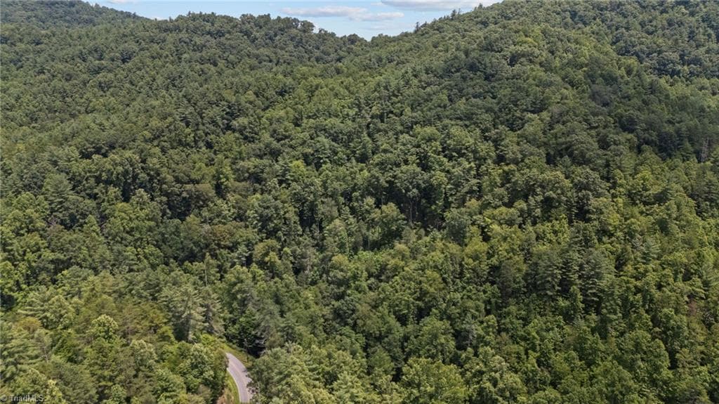 Unimproved Land at 1296 Sheets Gap Road, Millers Creek NC 28651, photo 5 of 8