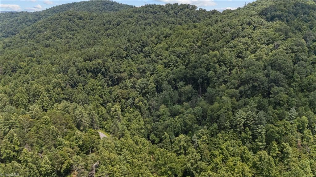 Unimproved Land at 1296 Sheets Gap Road, Millers Creek NC 28651, photo 4 of 8
