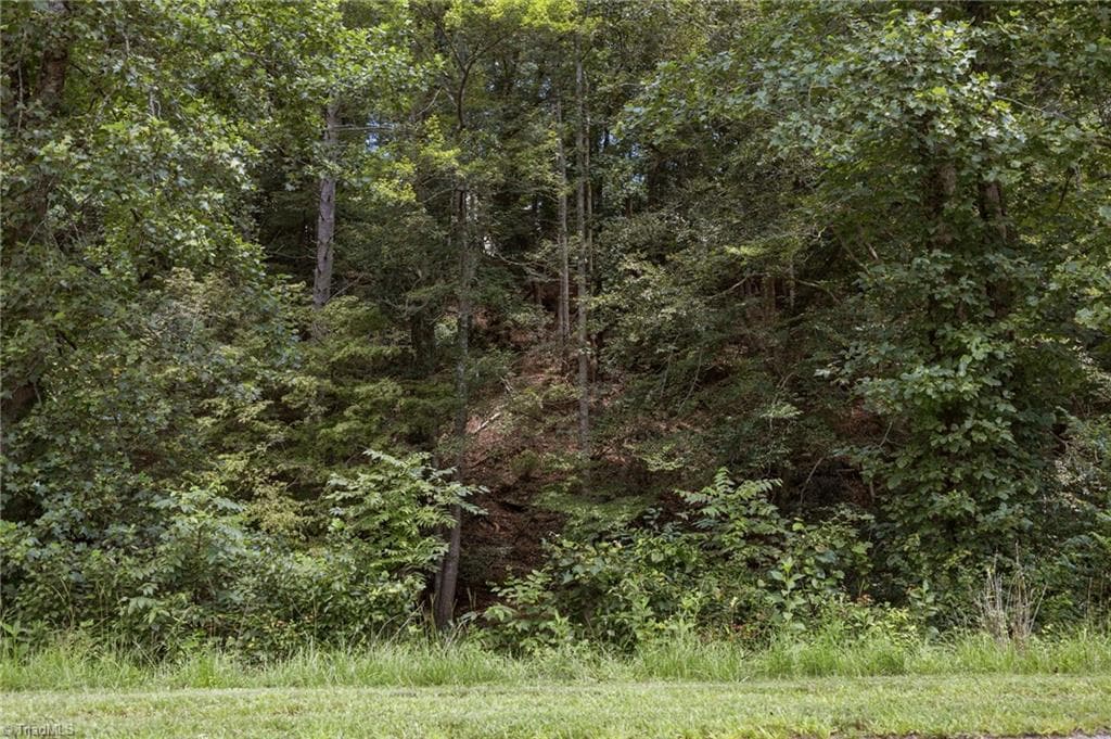 Unimproved Land at 1296 Sheets Gap Road, Millers Creek NC 28651, photo 8 of 8