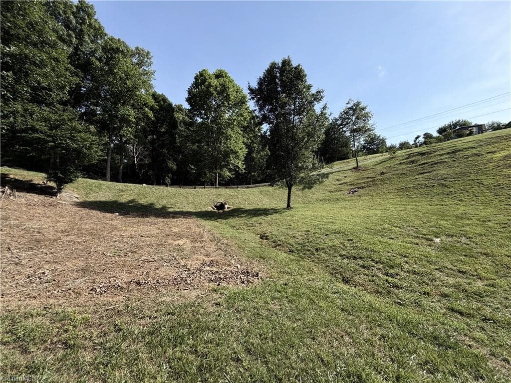 Unimproved Land at 0 Stewart Road, Walnut Cove NC 27052, photo 9 of 17