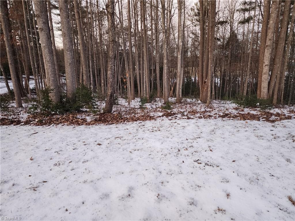 Single Family Residence at TBD W Meadow Parkway, Moravian Falls NC 28654, Moravian Falls, photo 25 of 40