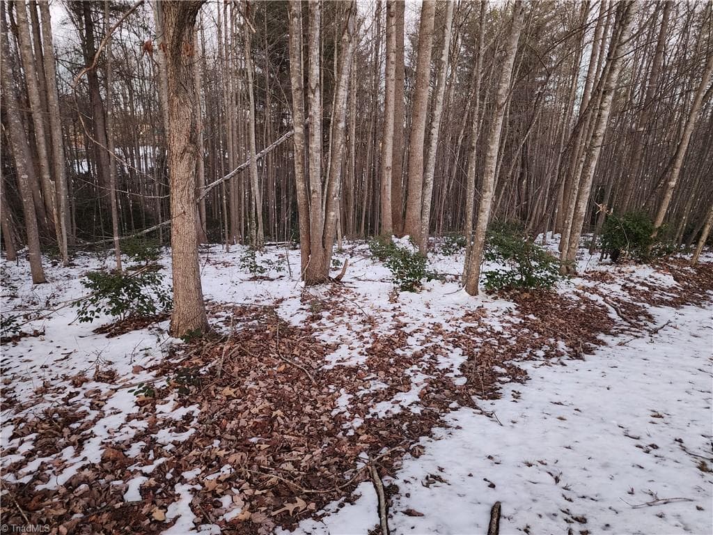 Single Family Residence at TBD W Meadow Parkway, Moravian Falls NC 28654, Moravian Falls, photo 31 of 40