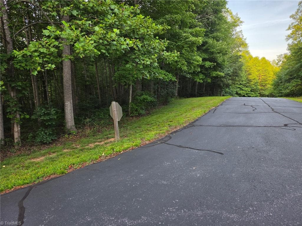Single Family Residence at TBD W Meadow Parkway, Moravian Falls NC 28654, Moravian Falls, photo 5 of 40