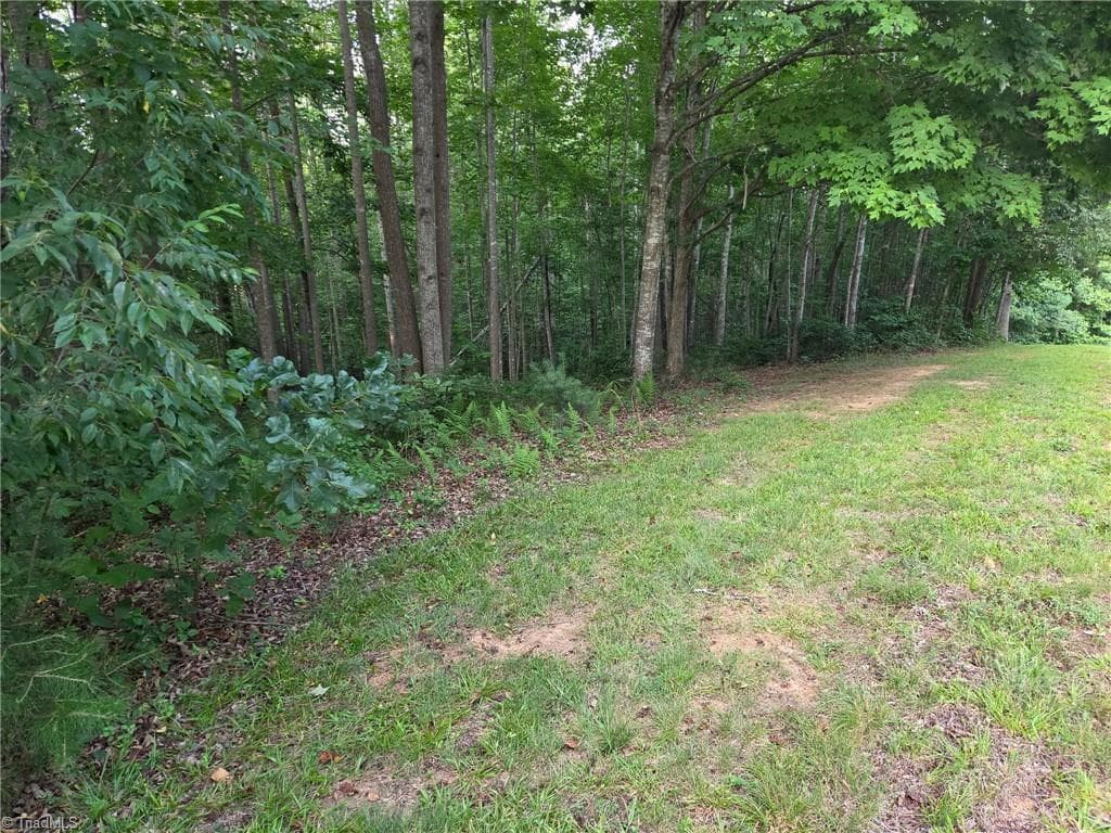 Single Family Residence at TBD W Meadow Parkway, Moravian Falls NC 28654, Moravian Falls, photo 9 of 40
