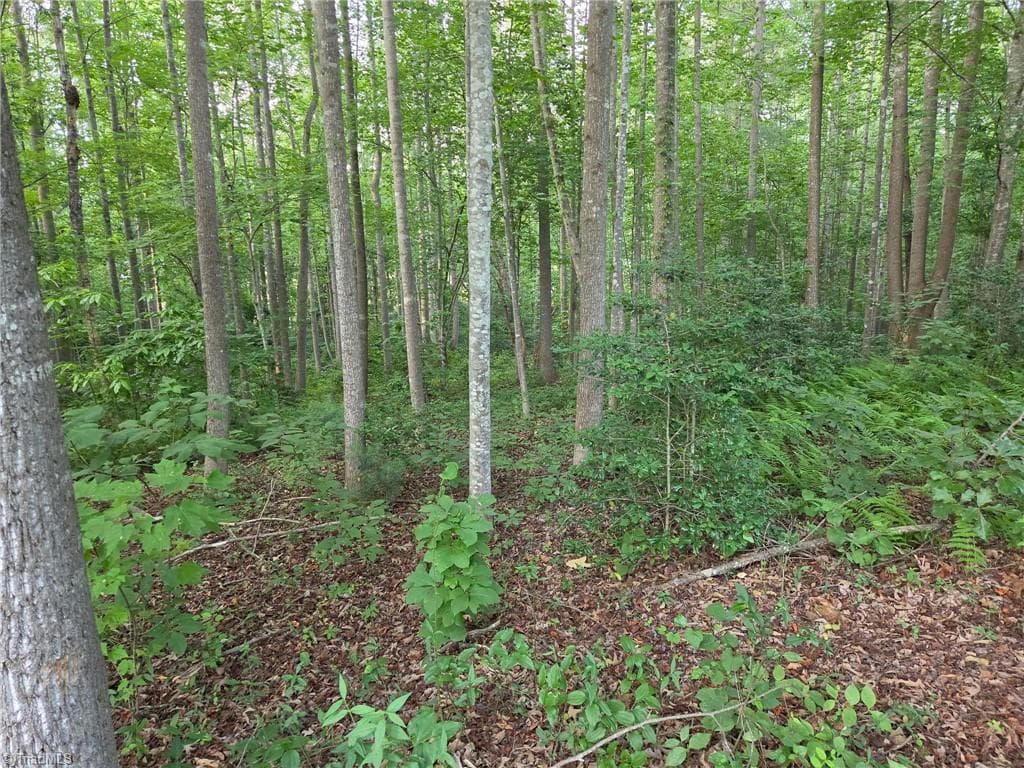 Single Family Residence at TBD W Meadow Parkway, Moravian Falls NC 28654, Moravian Falls, photo 7 of 40