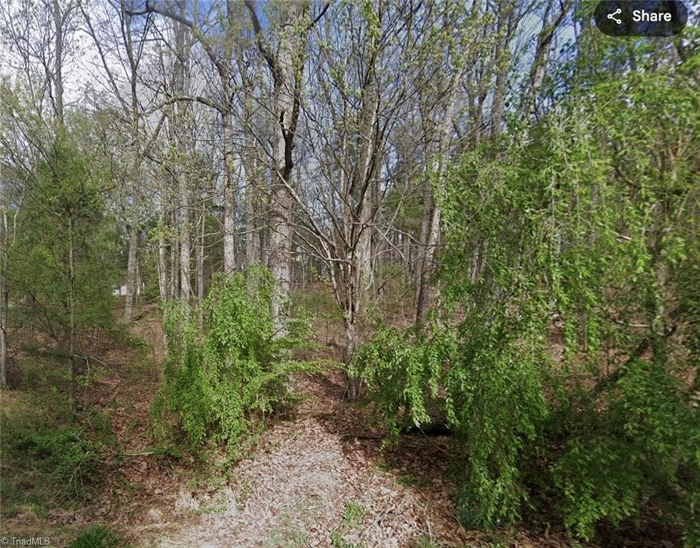 Single Family Residence at TBD Laurel Mountain Road, North Wilkesboro NC 28659, North Wilkesboro, photo 2 of 3