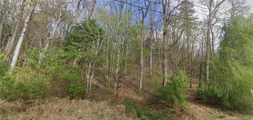 Single Family Residence at TBD Laurel Mountain Road, North Wilkesboro NC 28659, North Wilkesboro, photo 3 of 3