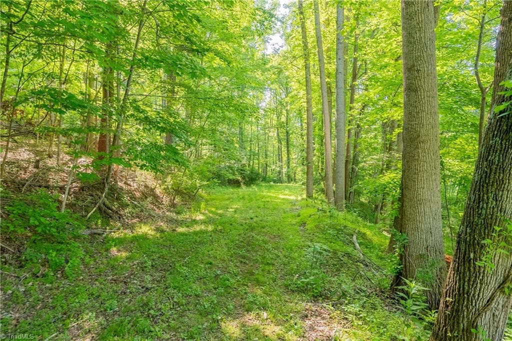 Unimproved Land at 8730 Lee Drive NE, Copper Hill VA 24079, Copper Hill, photo 32 of 50