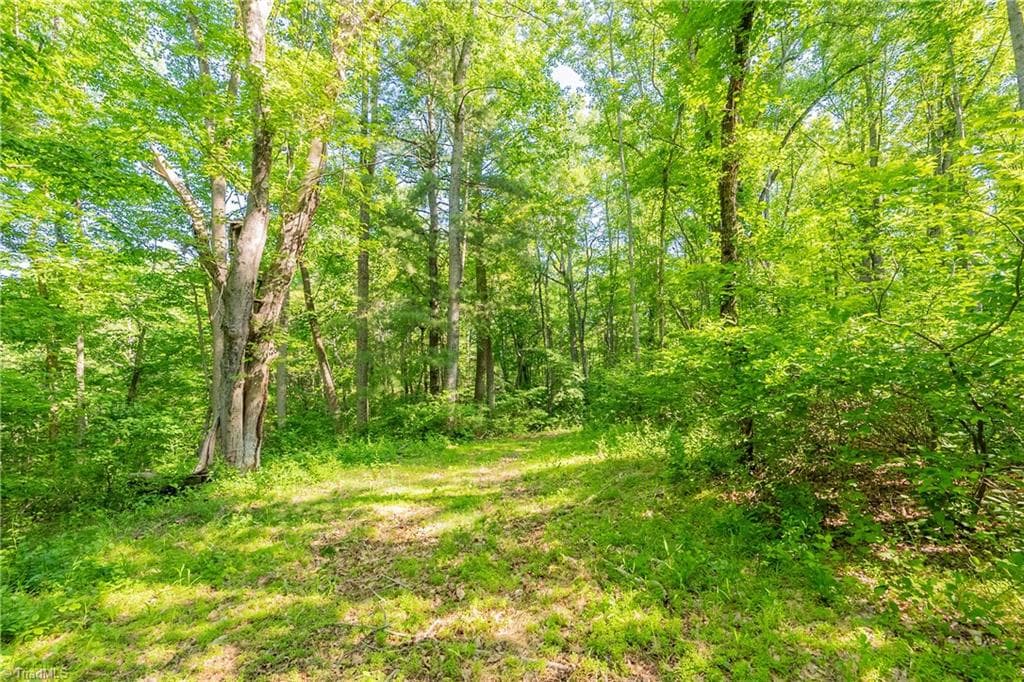 Unimproved Land at 8730 Lee Drive NE, Copper Hill VA 24079, Copper Hill, photo 45 of 50