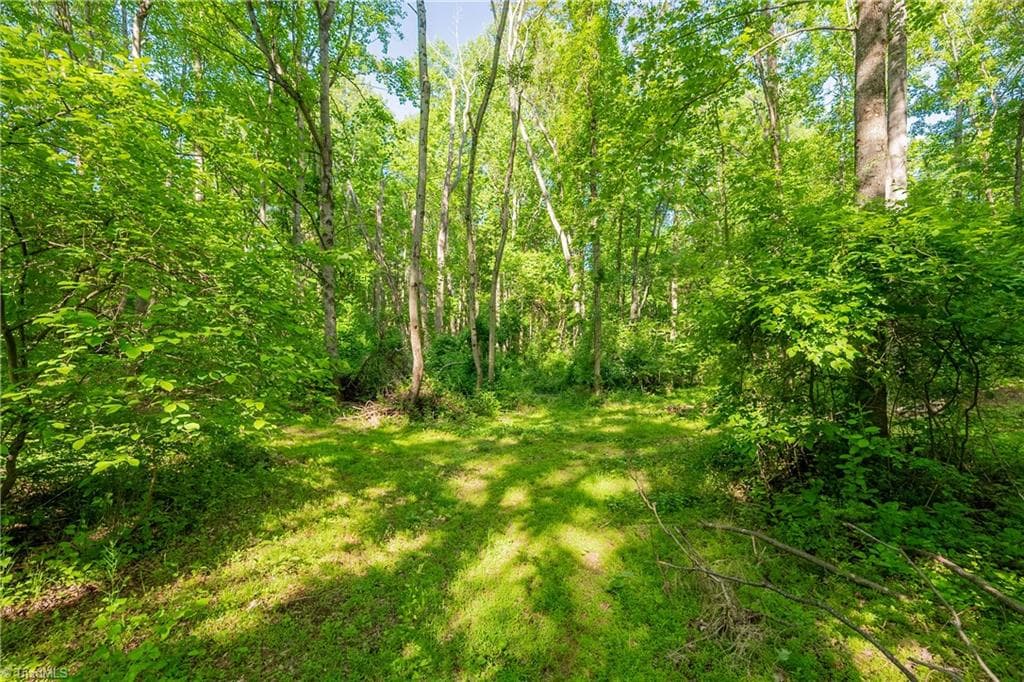Unimproved Land at 8730 Lee Drive NE, Copper Hill VA 24079, Copper Hill, photo 44 of 50
