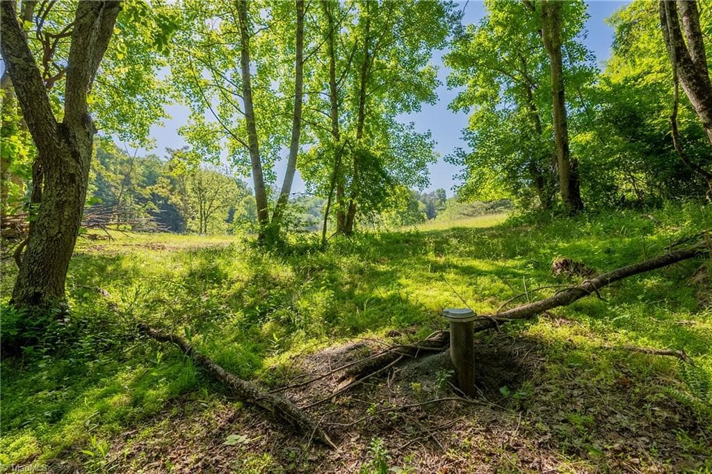 Unimproved Land at 8730 Lee Drive NE, Copper Hill VA 24079, Copper Hill, photo 39 of 50