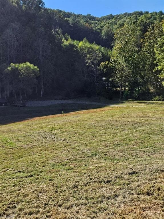 Unimproved Land at 3205 Sheets Gap Road, Millers Creek NC 28651, photo 42 of 46