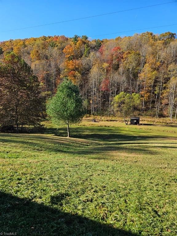 Unimproved Land at 3205 Sheets Gap Road, Millers Creek NC 28651, photo 16 of 46