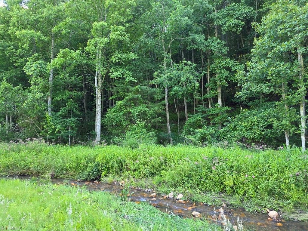 Unimproved Land at 3205 Sheets Gap Road, Millers Creek NC 28651, photo 12 of 46