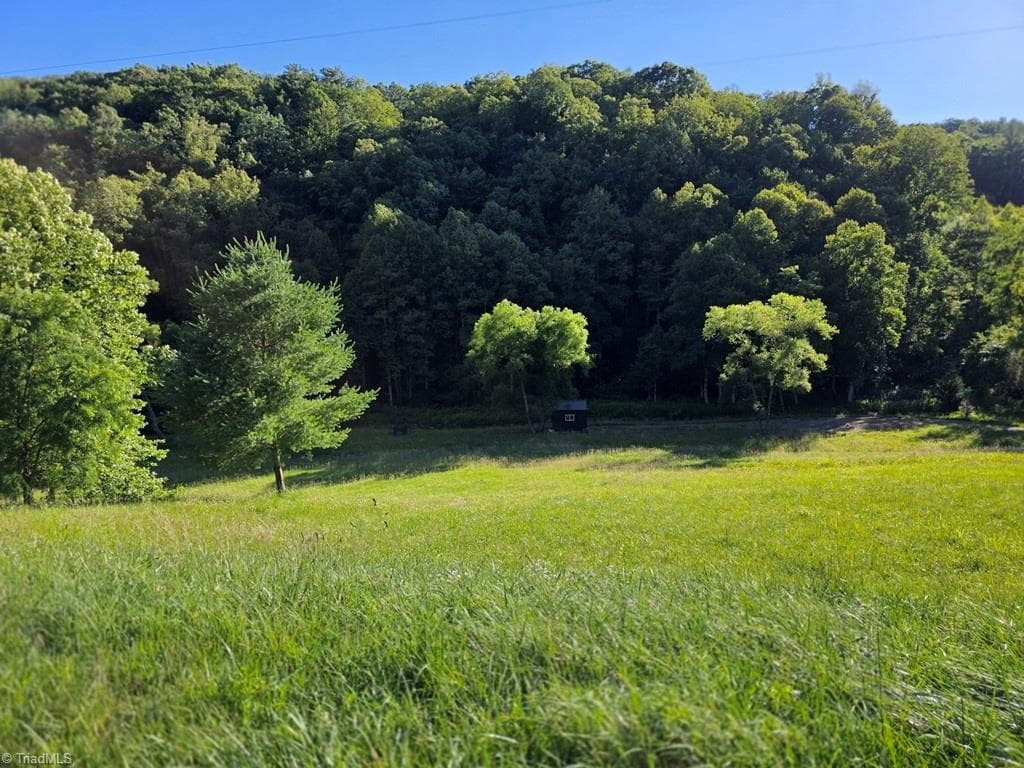 Unimproved Land at 3205 Sheets Gap Road, Millers Creek NC 28651, photo 5 of 46