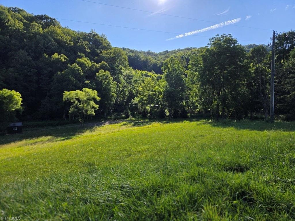 Unimproved Land at 3205 Sheets Gap Road, Millers Creek NC 28651, photo 14 of 46
