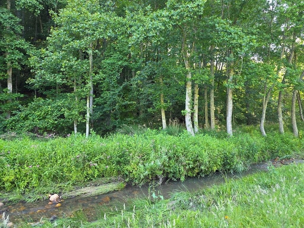 Unimproved Land at 3205 Sheets Gap Road, Millers Creek NC 28651, photo 18 of 46