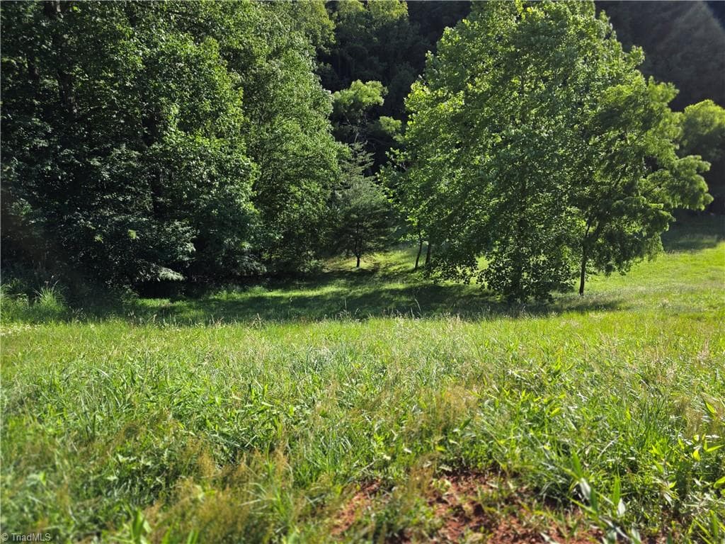 Unimproved Land at 3205 Sheets Gap Road, Millers Creek NC 28651, photo 15 of 46
