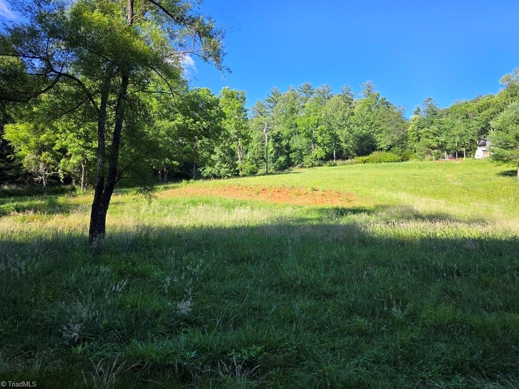 Unimproved Land at 3205 Sheets Gap Road, Millers Creek NC 28651, photo 11 of 46