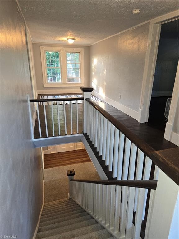 Stick/Site Built at 309 Taylor Street, Mount Airy NC 27030, photo 19 of 28