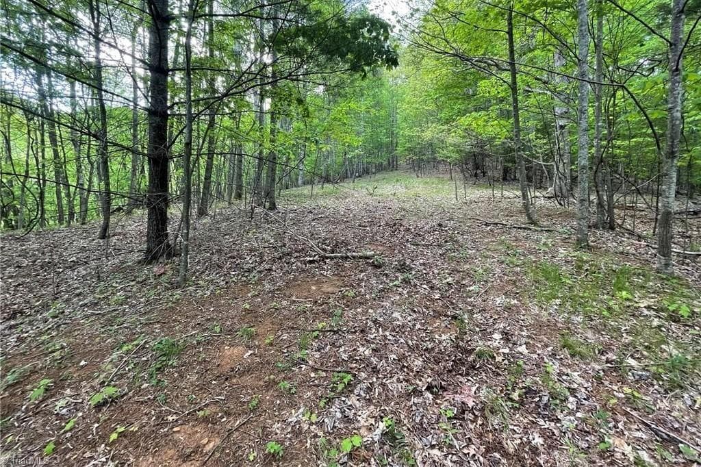 TBD Edwin Blevins Road, Jefferson NC 28640