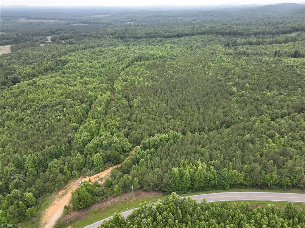 Unimproved Land at 7250 High Pine Church Road, Asheboro NC 27205, photo 3 of 5