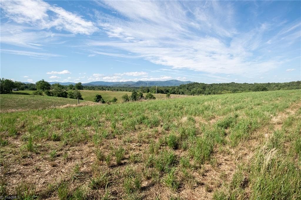 Unimproved Land at 1779 Round Hill Church Road, Traphill NC 28685, photo 13 of 49