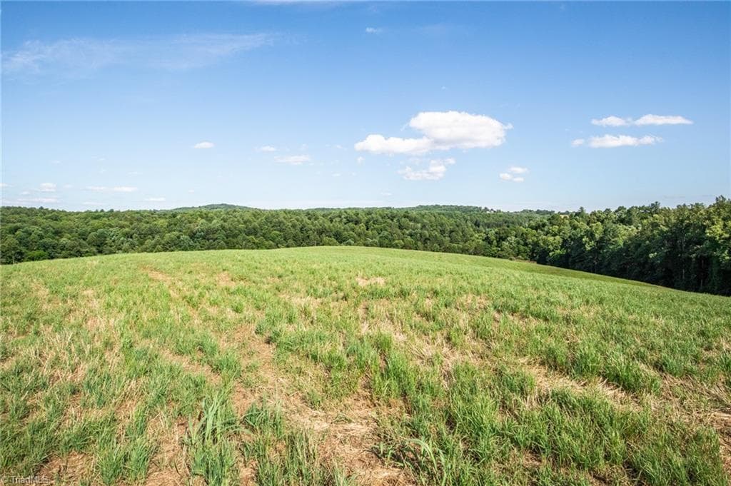 Unimproved Land at 1779 Round Hill Church Road, Traphill NC 28685, photo 16 of 49