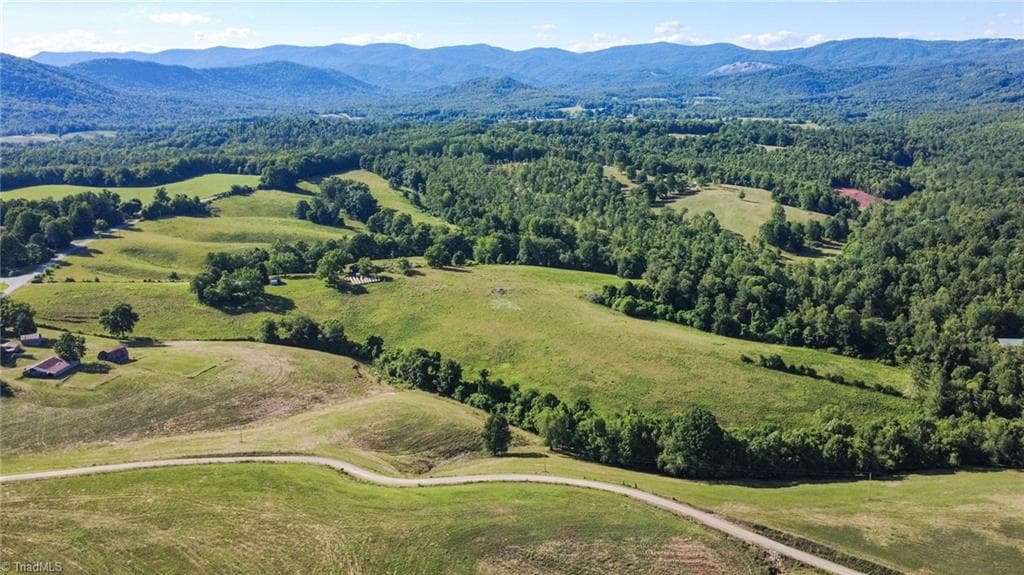 Unimproved Land at 1779 Round Hill Church Road, Traphill NC 28685, photo 12 of 49