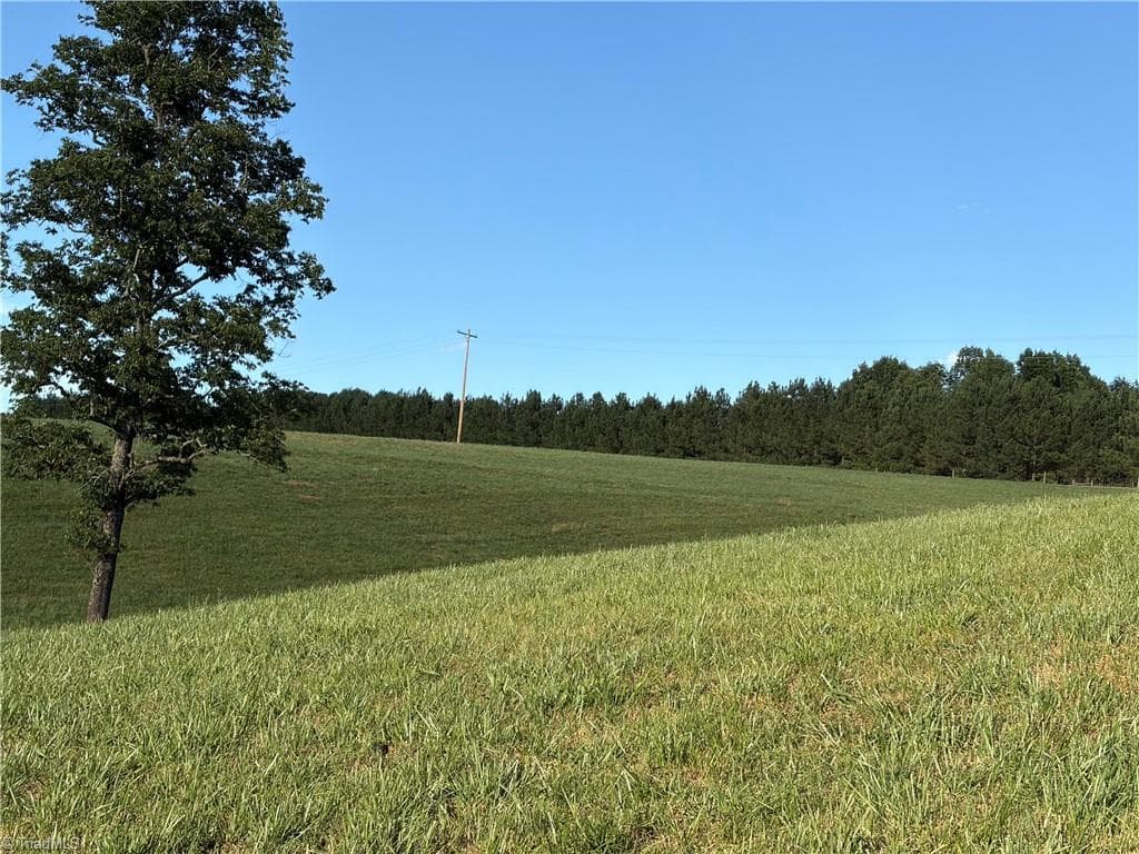 Unimproved Land at 1779 Round Hill Church Road, Traphill NC 28685, photo 22 of 49