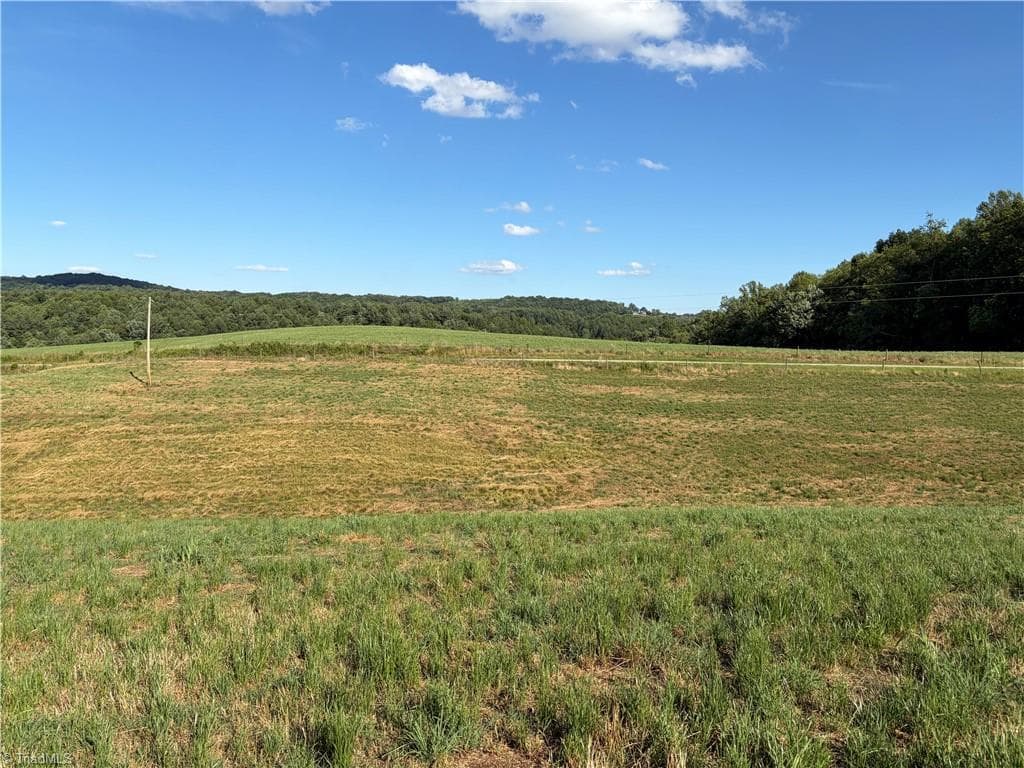 Unimproved Land at 1779 Round Hill Church Road, Traphill NC 28685, photo 32 of 49