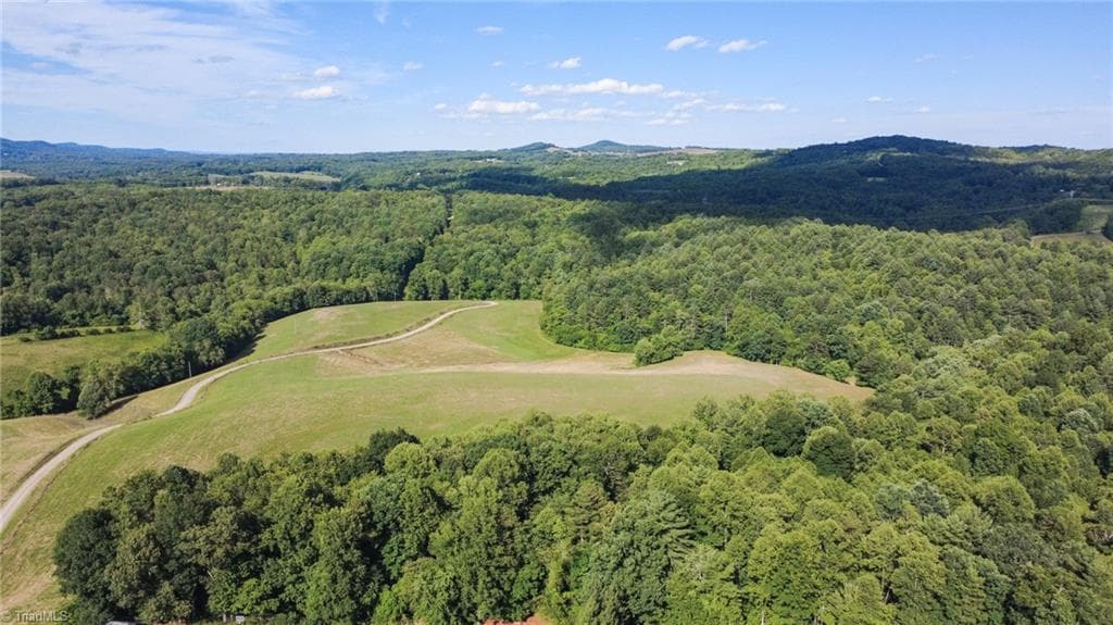 Unimproved Land at 1779 Round Hill Church Road, Traphill NC 28685, photo 9 of 49