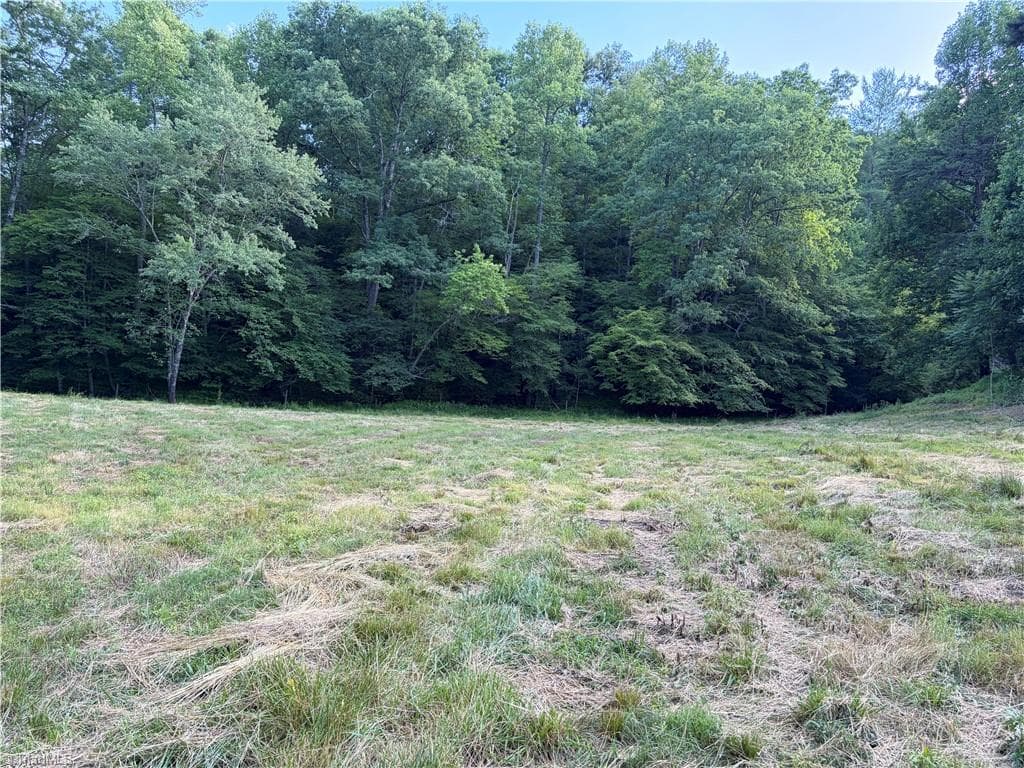 Unimproved Land at 1779 Round Hill Church Road, Traphill NC 28685, photo 34 of 49