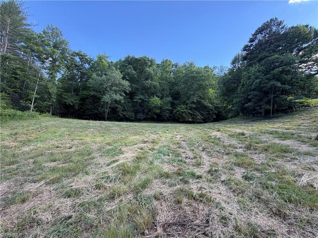 Unimproved Land at 1779 Round Hill Church Road, Traphill NC 28685, photo 33 of 49